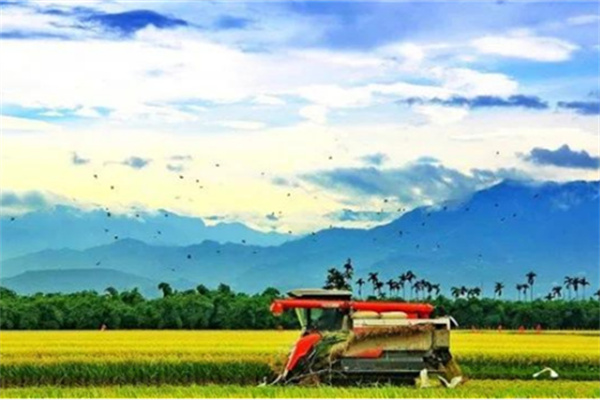 嘉義縣大林鎮(zhèn):諧音梗不扣錢 反成流量密碼