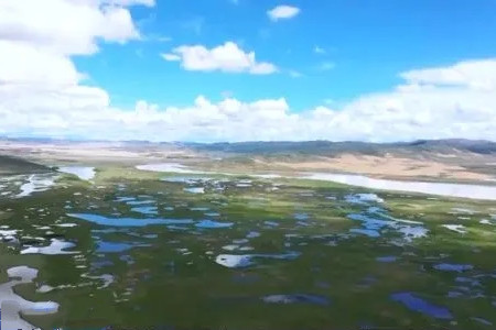 首批國家公園今年完成自然資源確權登記