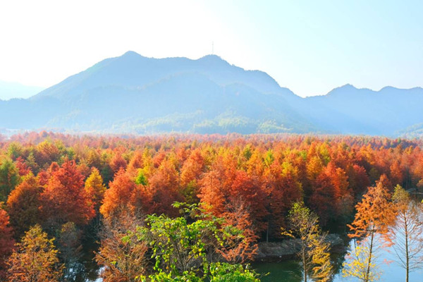 第二批“天氣氣候景觀觀賞地”發(fā)布