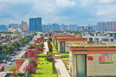 成都天府新區:讓公園城市有機生長