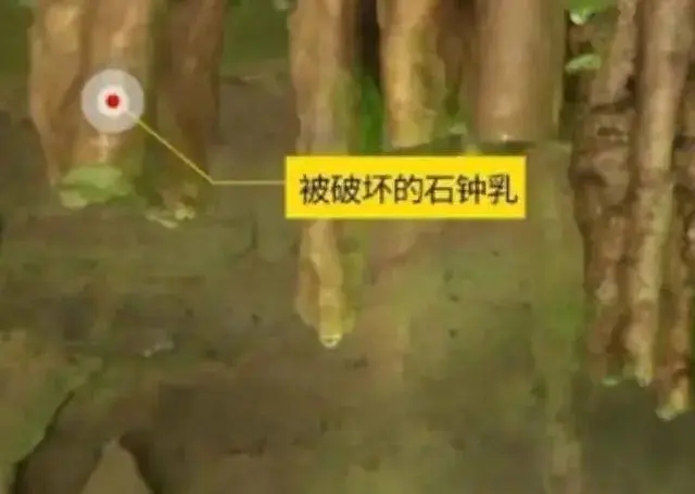 黃果樹景區上萬年景觀被男孩用磚頭敲下帶走