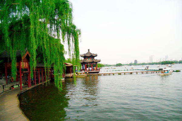 為城市綠化劃道線,濟南綠線管理辦法征求意見