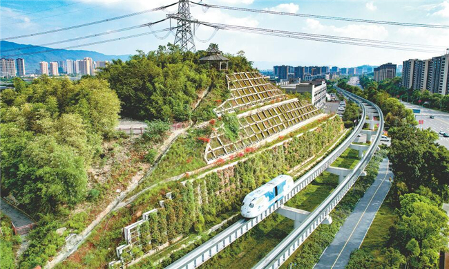 重慶推進(jìn)科學(xué)綠化試點(diǎn)示范市建設(shè)