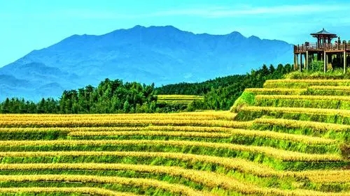 中華傳統農耕蘊含哪些低碳智慧?