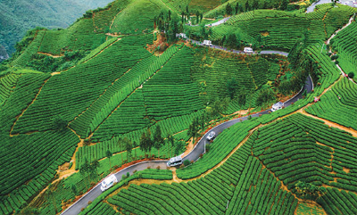 主題游徑如何“走”？