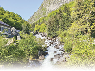 國外經驗:國家公園助力生物多樣性保護