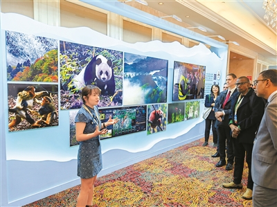 5個主題展亮相第二屆國家公園論壇