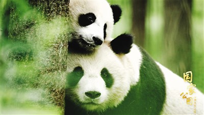 走進(jìn)國家公園 記錄萬物共生之美