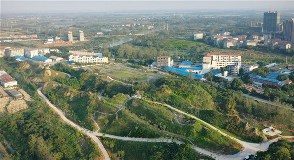 園冶杯參賽作品丨嘉魚(yú)縣濱江生態(tài)提升