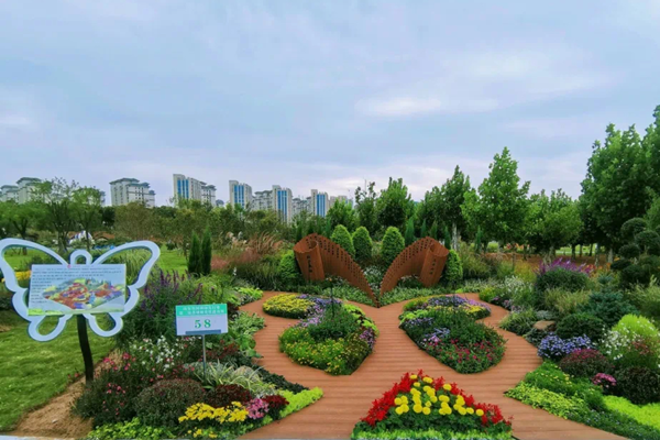 花境如何融合主題理念與園林藝術？