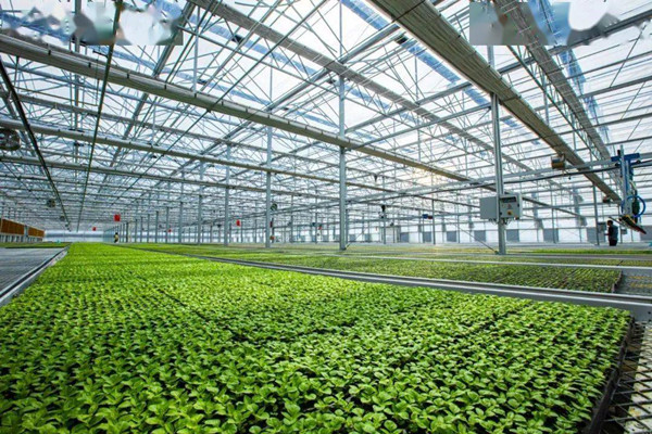 以產(chǎn)業(yè)振興助力鄉(xiāng)村振興