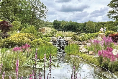 中國畔溪花園成為英國大曼徹斯特地區新打卡地