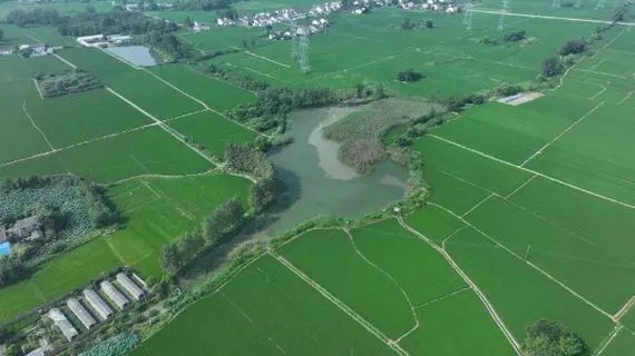 我國新增4處世界灌溉工程遺產