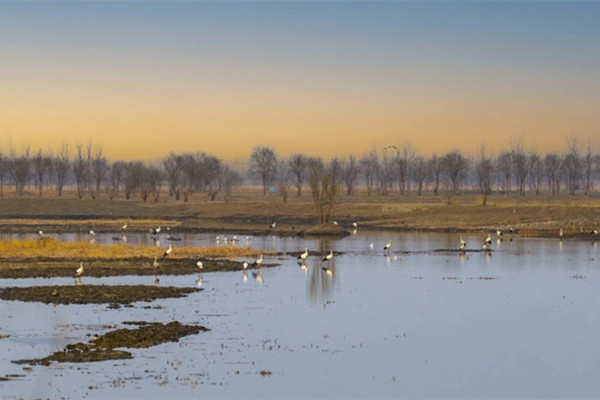 我國新增29處國家重要濕地
