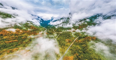 大熊貓國家公園:人與自然和諧共生的瑰麗圖景