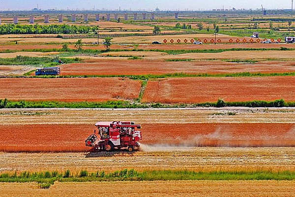 久久為功用好鹽堿地資源