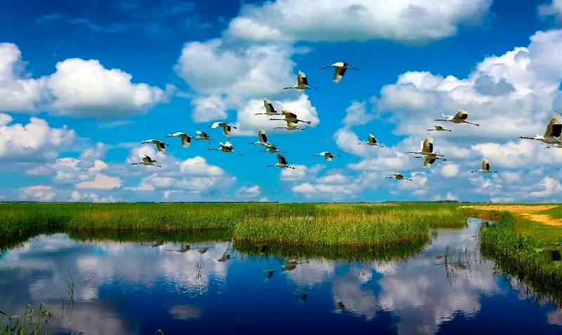全國現有濕地5635萬公頃 濕地保護體系初步建立