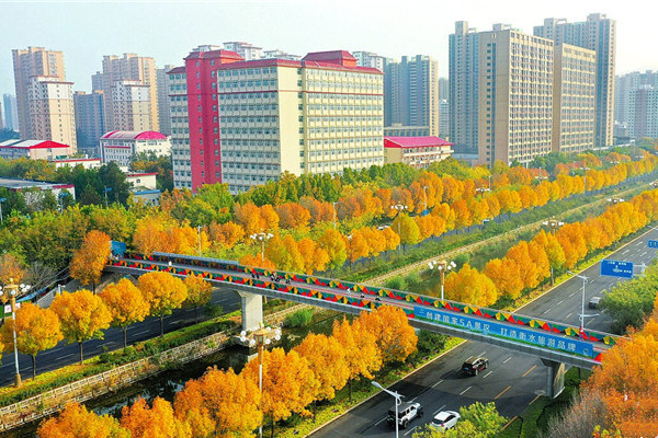 河北衡水建一湖三區(qū)綠廊,綠出高顏值美出高品質(zhì)