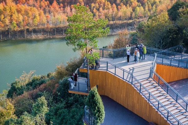 現工設計丨落羽杉濕地公園