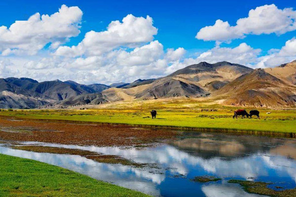 全國政協委員熱議高質量推進國家公園建設