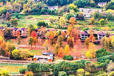 內外并舉 守護綠水青山