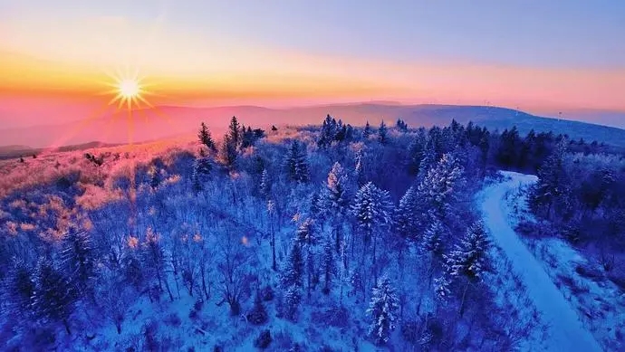 森林撫育，冬季為何很重要？