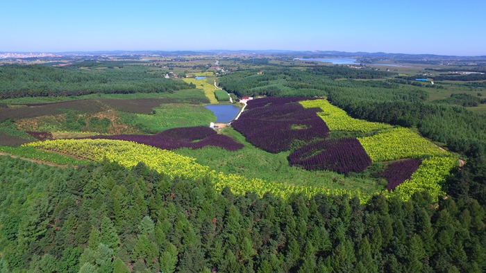 國(guó)家林草局：今年我國(guó)將完成國(guó)土綠化1億畝