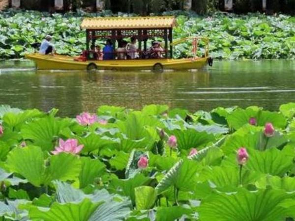 北京：超九成市民將享受“出門見綠”