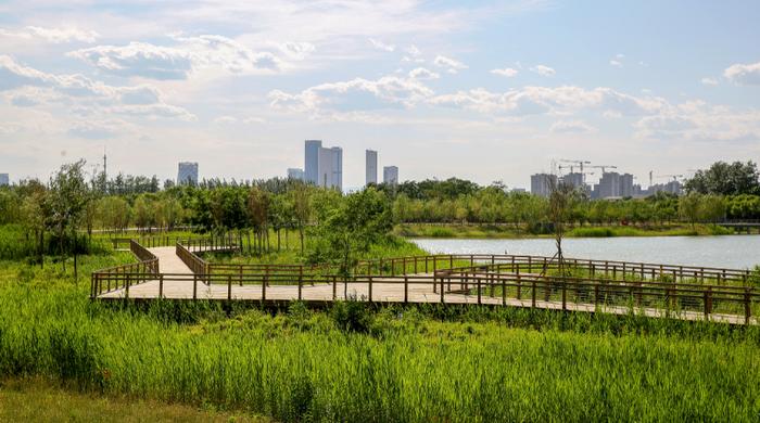 建設(shè)花園城市 北京這樣添綠