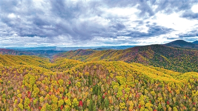 兩會代表委員共話國家公園建設
