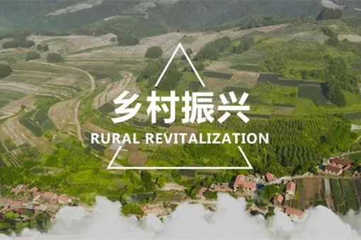 代表委員熱議有力有效推進鄉(xiāng)村全面振興