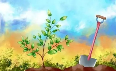 關(guān)于全民義務(wù)植樹，你知道嗎？