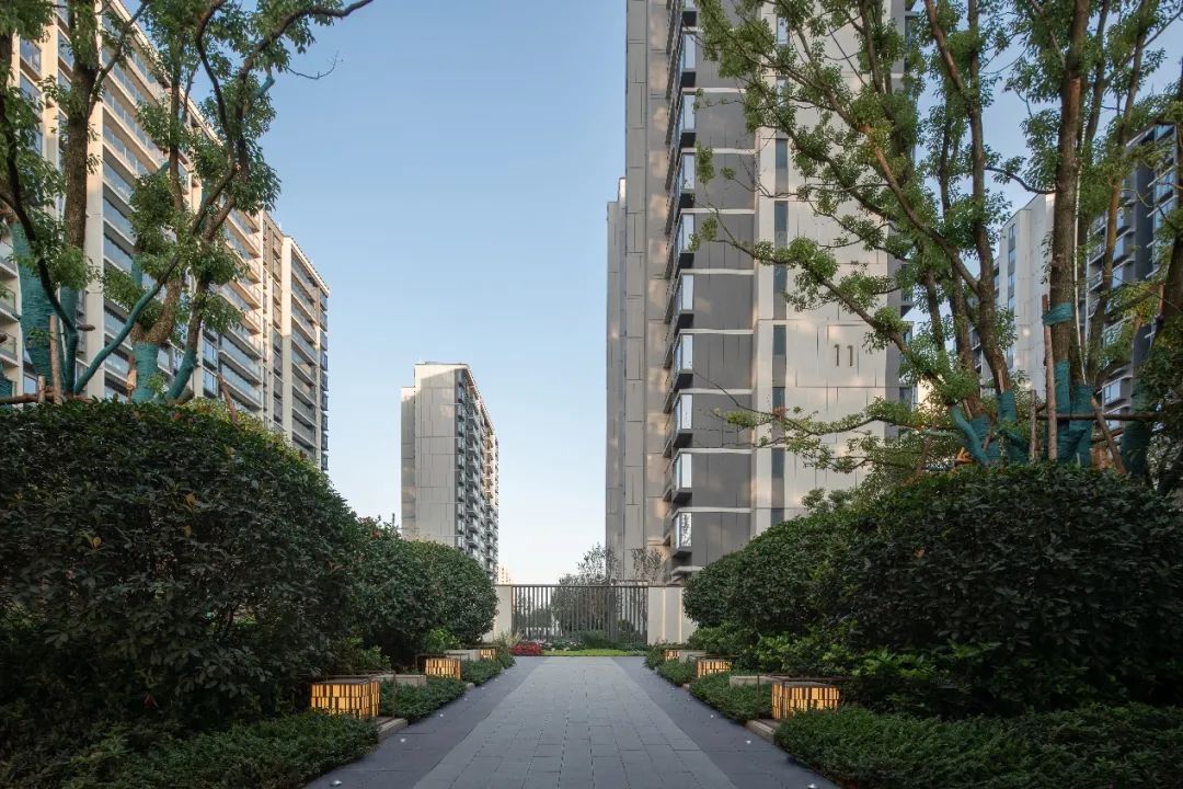 園冶杯金獎(jiǎng)作品丨南昌中糧·建發(fā)祥云悅府