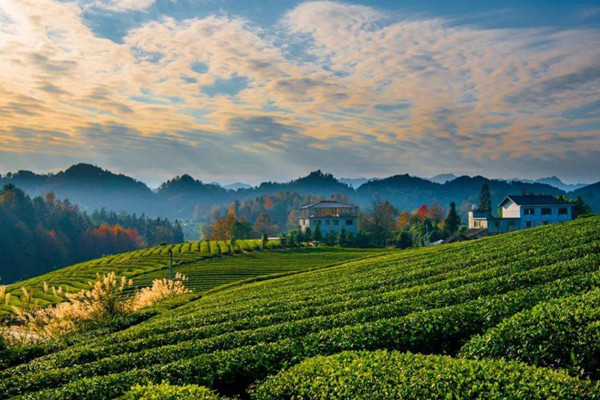 “山水工程”完成修復治理面積超一億畝