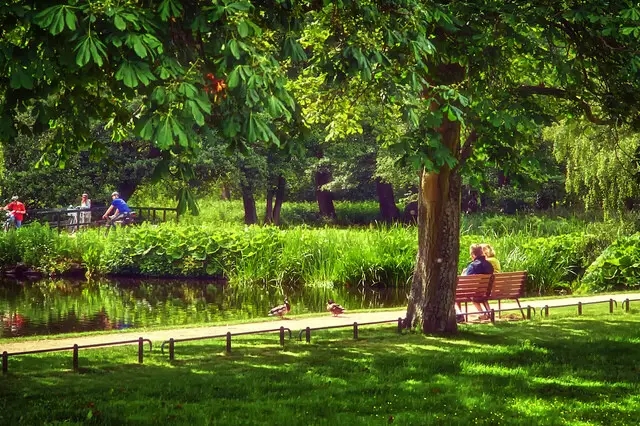 “公園20分鐘”為何治愈？