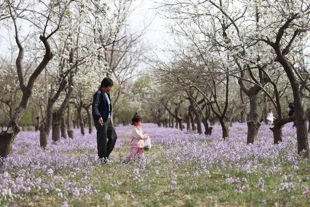 北京20處綠隔公園今年提質升級