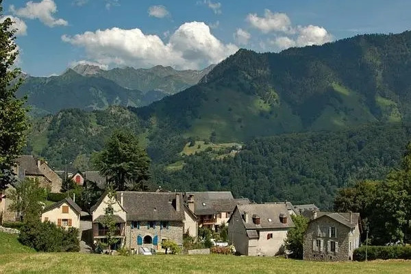 大熊貓國家公園迎來法國“友好合作伙伴”