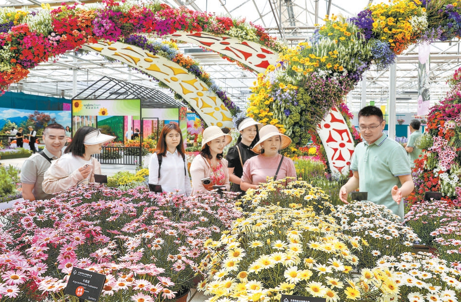 北京:19種新品花卉首發亮相春季花展