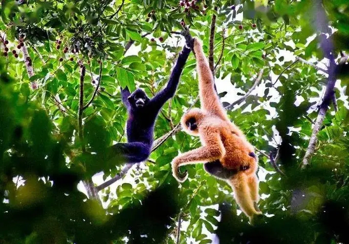 如何做好生態(tài)旅游大文章?