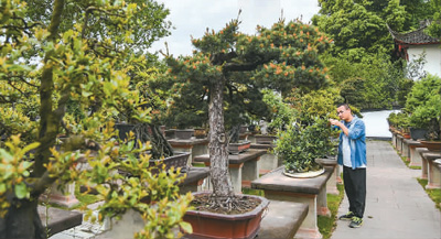 走進成都世園會:山水園林帶動文旅消費