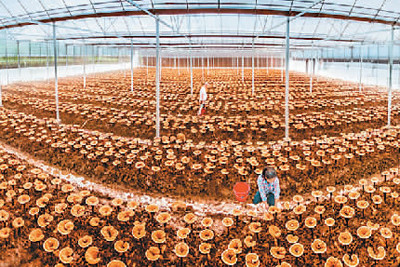 生態文明視角下的文化和自然遺產保護