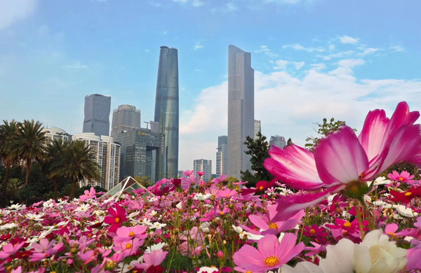 廣州打造國(guó)際一流花卉產(chǎn)業(yè)高地