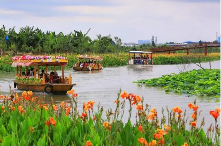 廣東:濕地公園活動(dòng)不斷上線 濕地旅游持續(xù)升溫