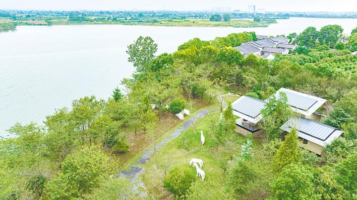 湖北太湖港：村里有美術園 村民成園藝師