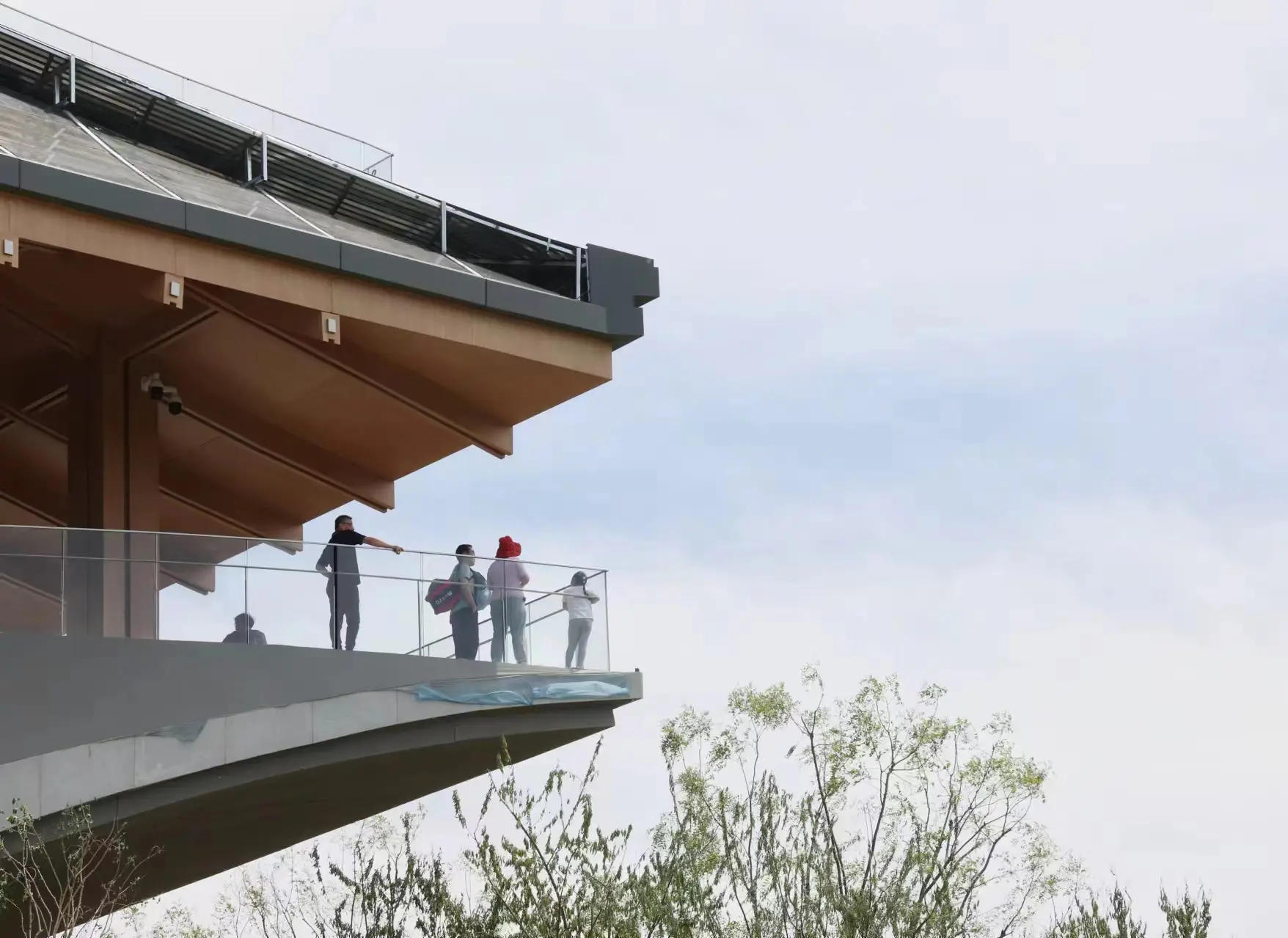 南苑森林公園如何成為年輕人的“天空之城”？