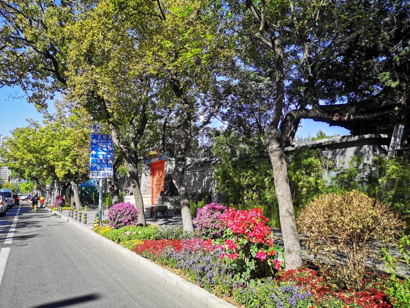 朝陽(yáng)區(qū)打造北京市首個(gè)花園式示范街區(qū)