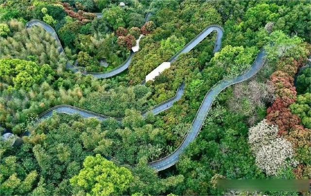 云端漫步 一步一景——高空景觀步道建設觀察