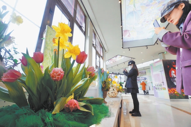 北京市屬公園推40余處賞花經(jīng)典片區(qū)