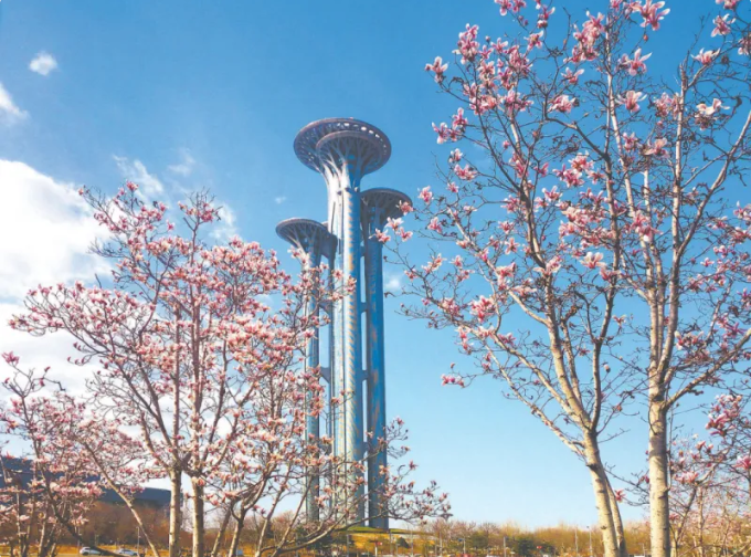 北京朝陽區(qū)多舉措全力推進花園城市建設