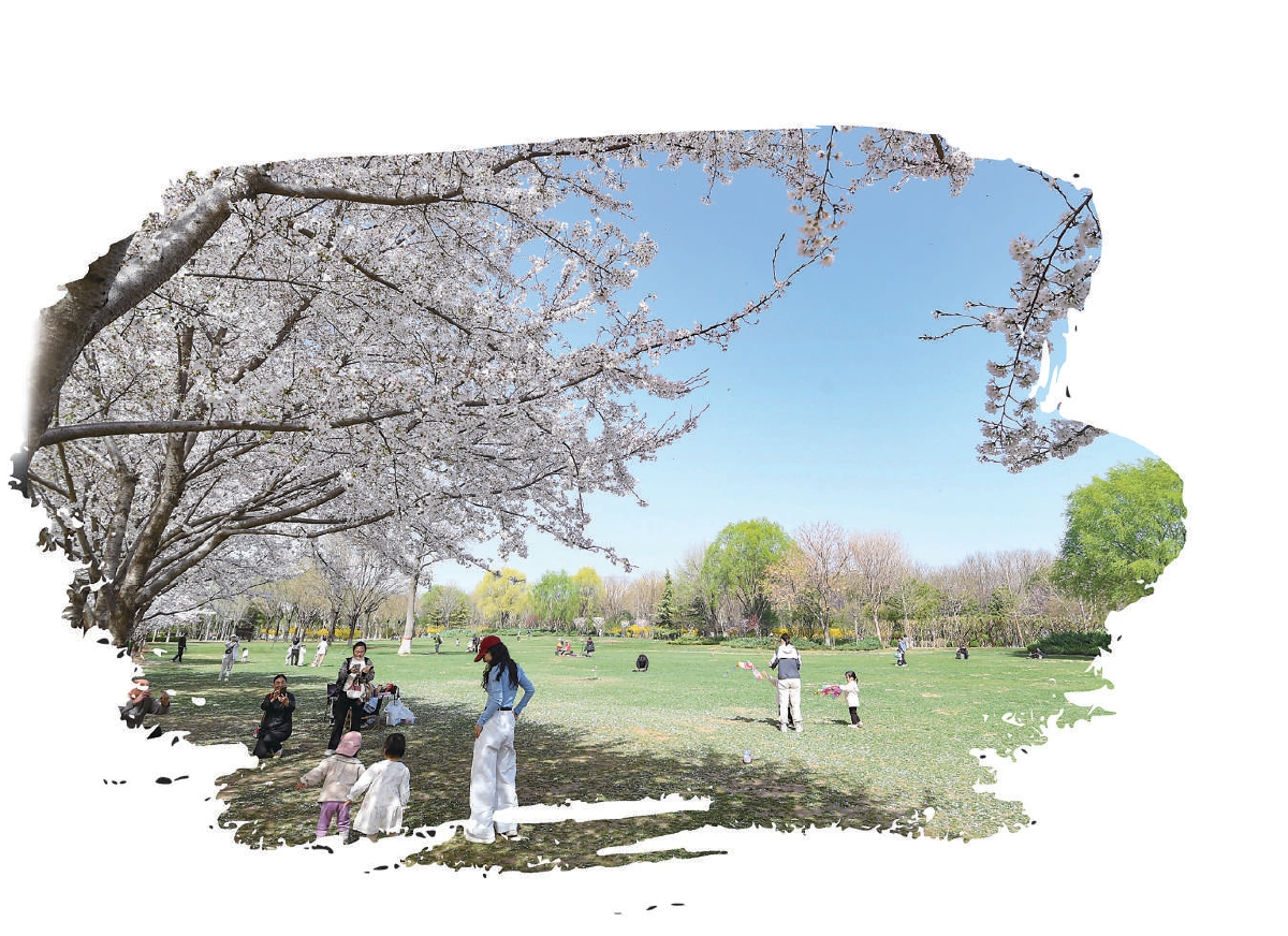 京畿大地“花式解鎖”春日經(jīng)濟